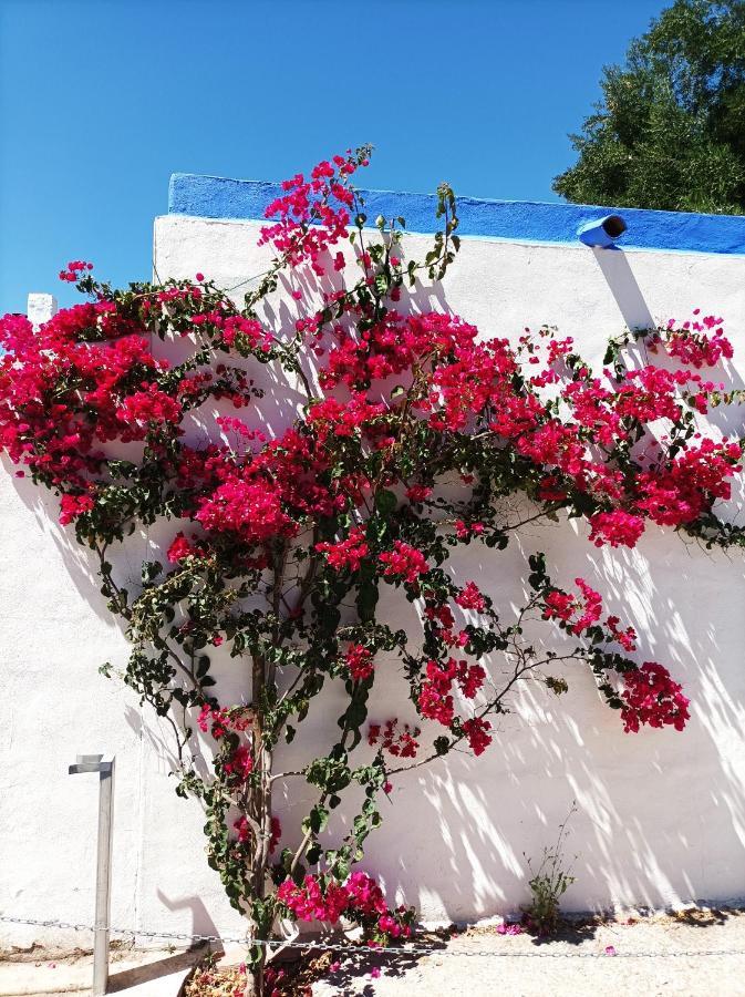 Casa Kilmar Bed and Breakfast Vejer de la Frontera Εξωτερικό φωτογραφία