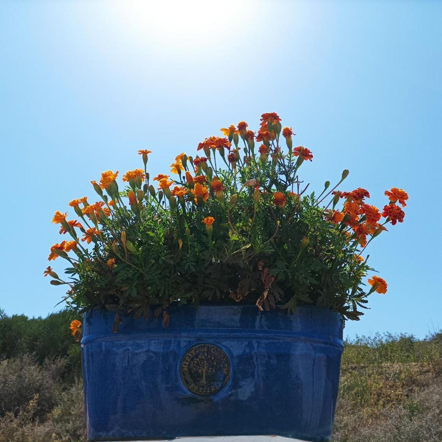 Casa Kilmar Bed and Breakfast Vejer de la Frontera Εξωτερικό φωτογραφία